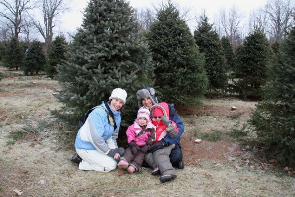 Xmas tree
