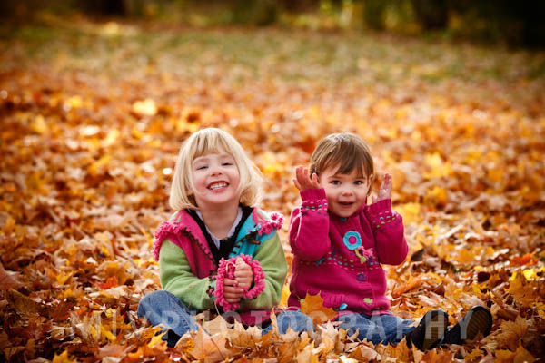 Fall Leaves